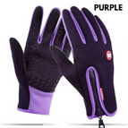 Purple / L