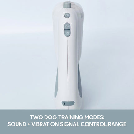 Verbesserte 3 IN 1 Einziehbare Hundeleine Mit Integriertem Spender Und Kackbeuteln Hundehaustierbedarf